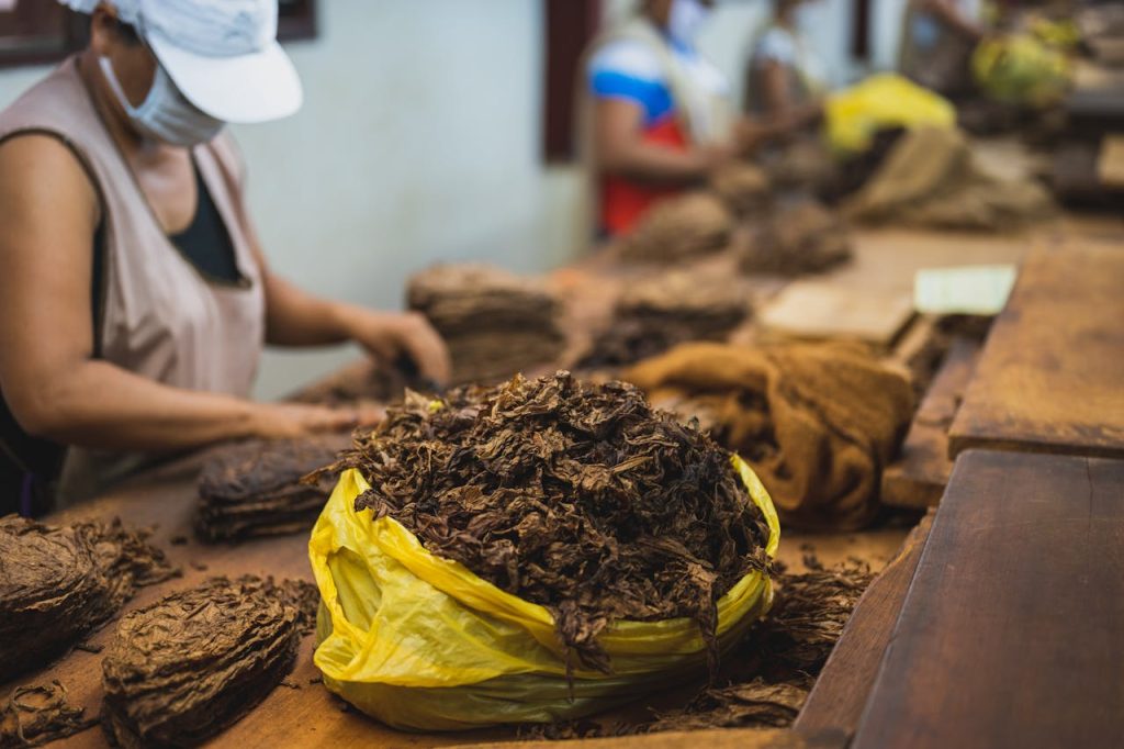 tabac-naturel-sans-additif
